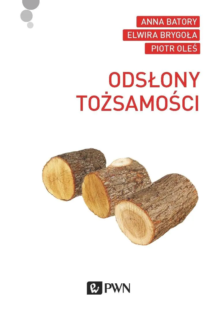 Książka - Odsłony tożsamości