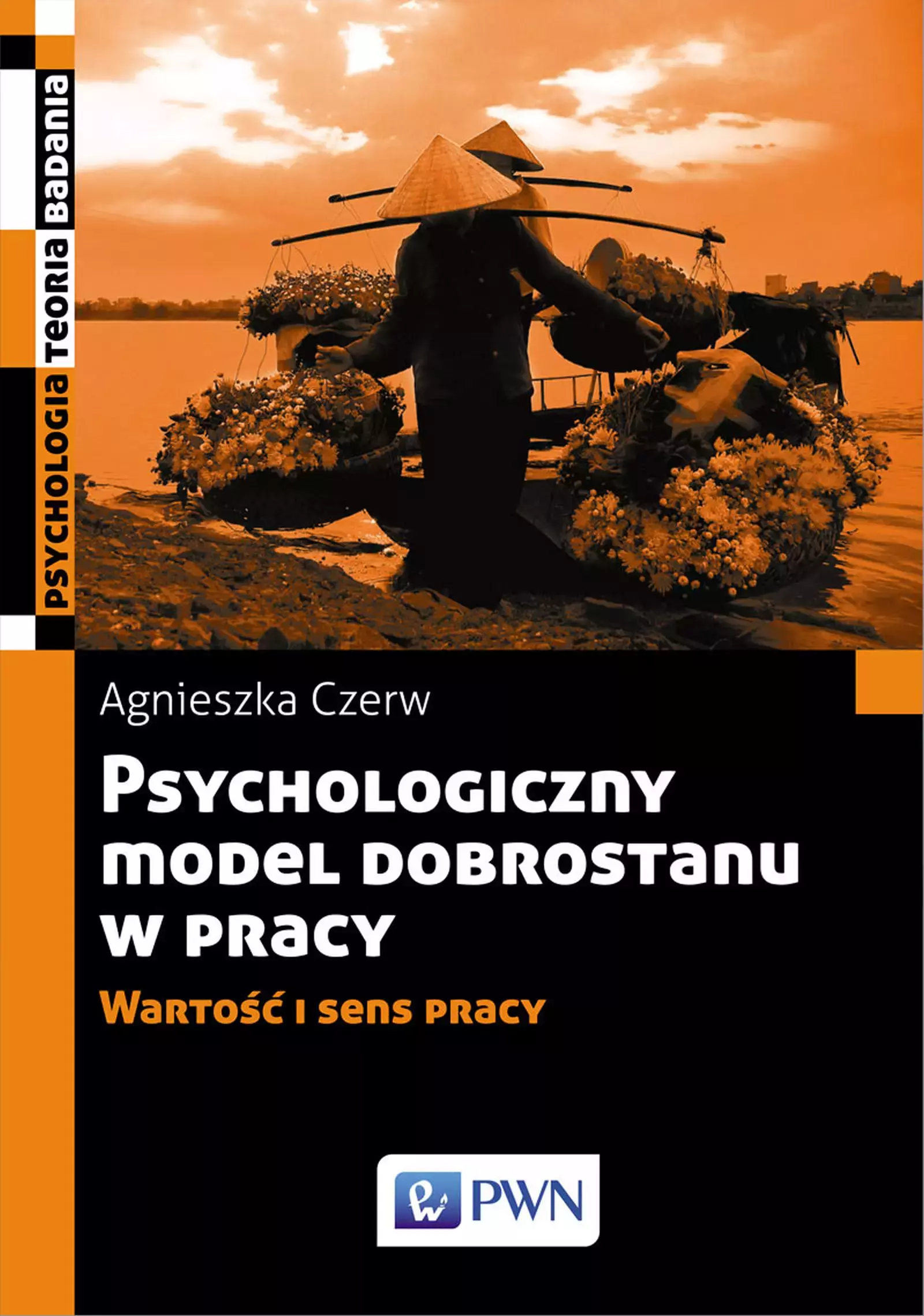 Książka - Psychologiczny model dobrostanu w pracy. Wartość i sens pracy