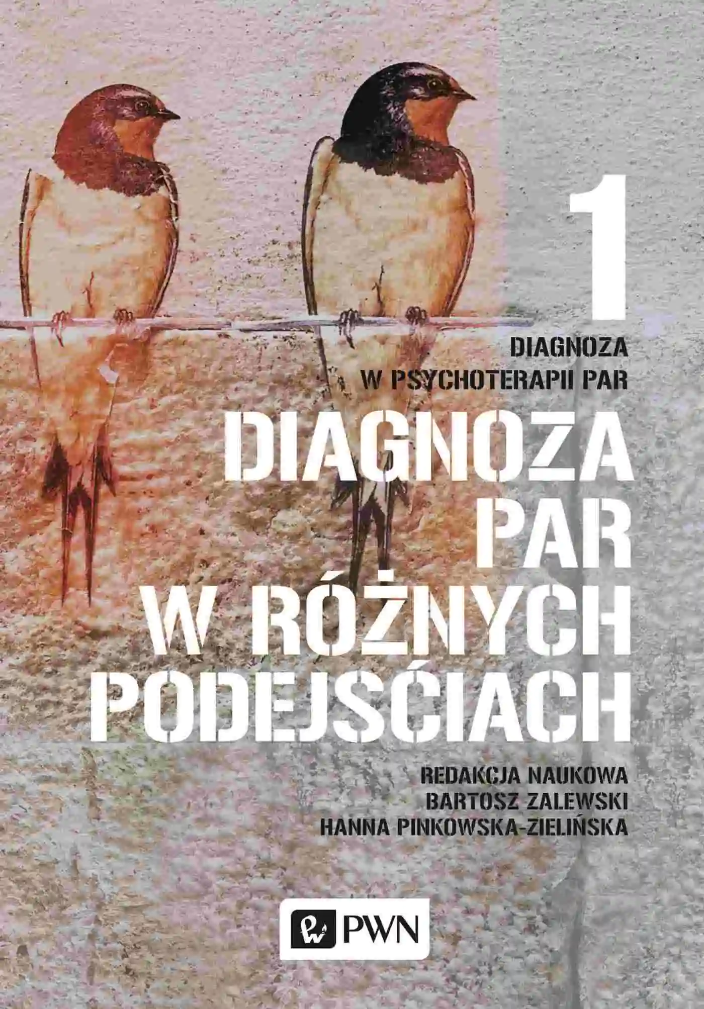 Książka - Diagnoza w psychoterapii par. Tom 1. Diagnoza par w różnych podejściach