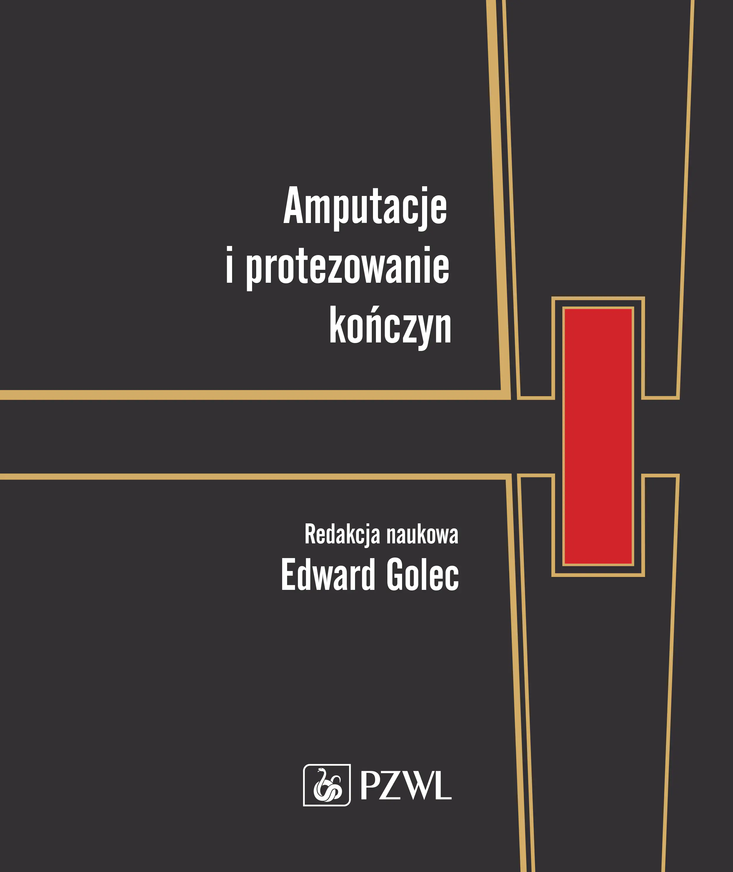 Książka - Amputacje i protezowanie kończyn