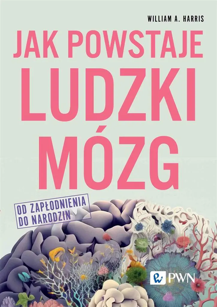 Książka - Jak powstaje ludzki mózg. Od zapłodnienia do narodzin