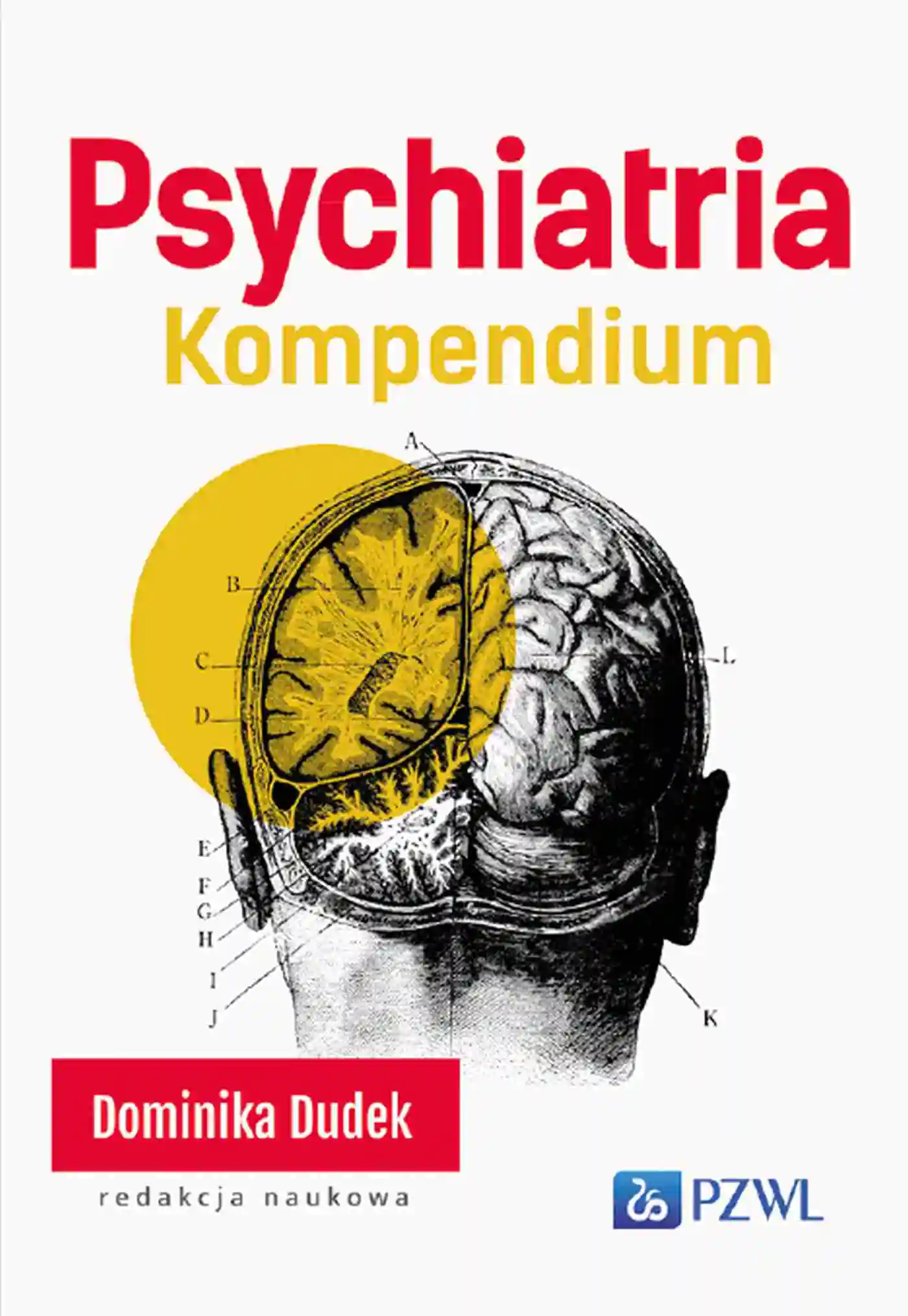 Książka - Psychiatria. Kompendium