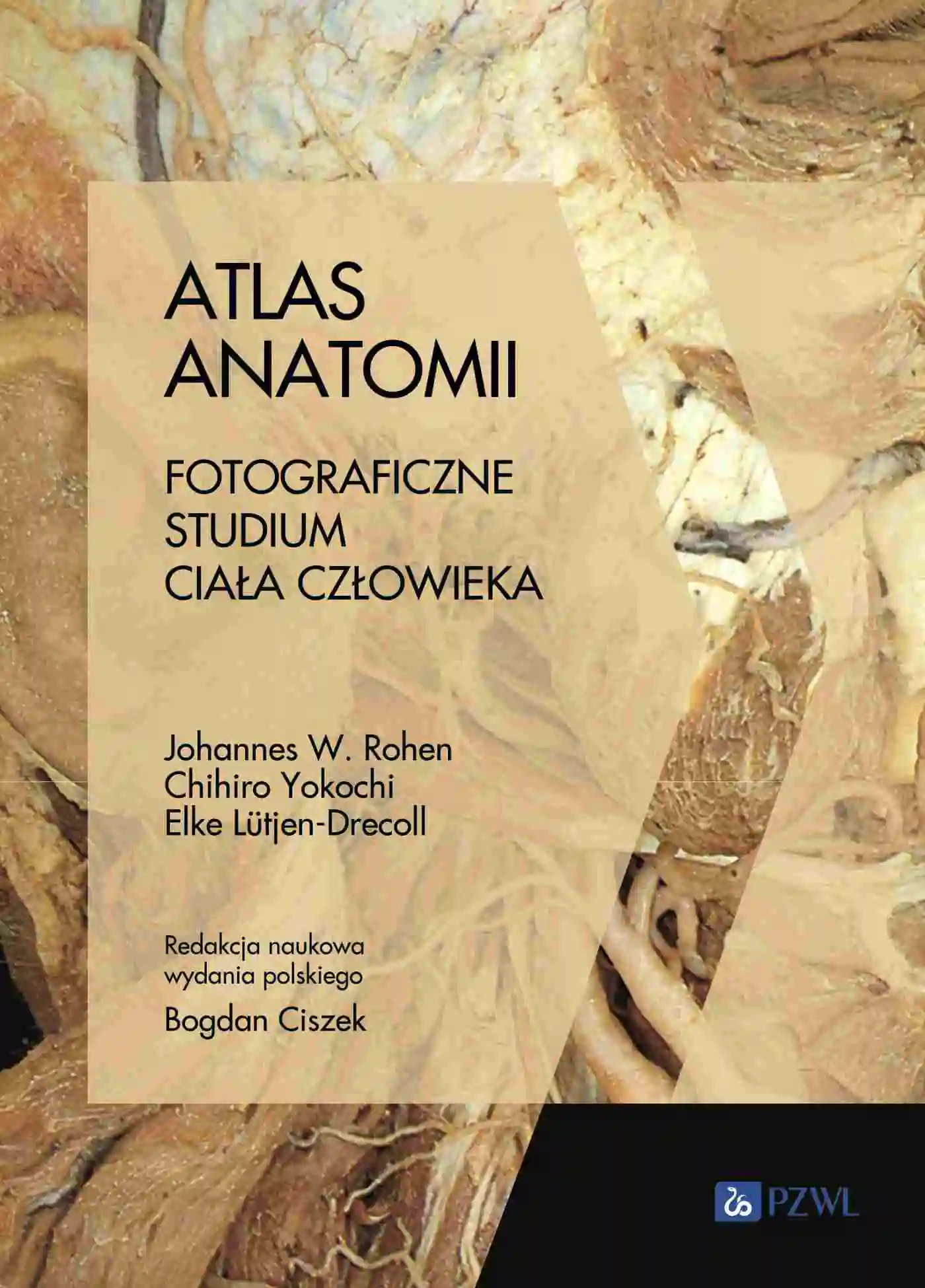 Książka - Atlas anatomii. Fotograficzne studium ciała człowieka
