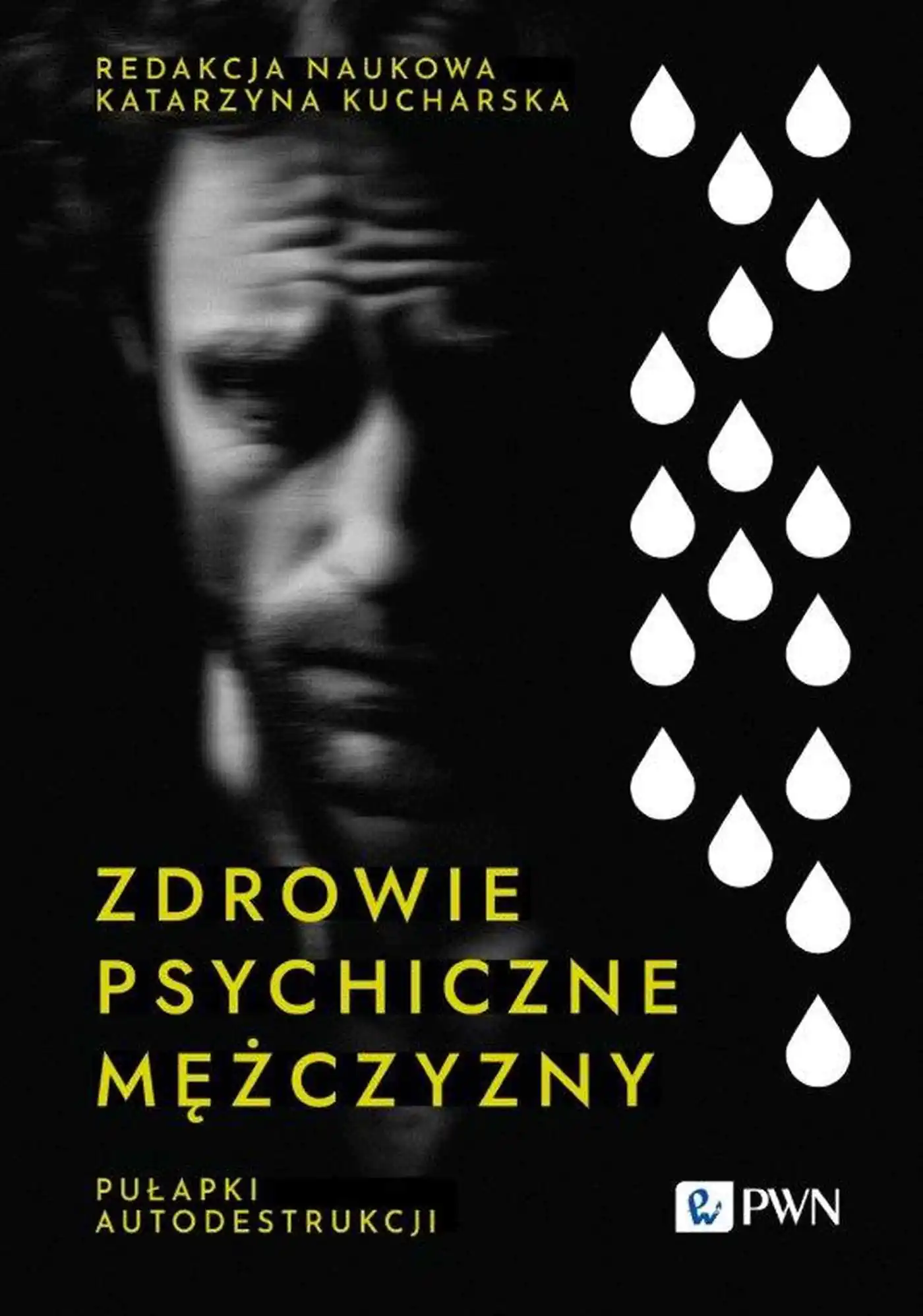 Książka - Zdrowie psychiczne mężczyzny. Pułapki autodestrukcji