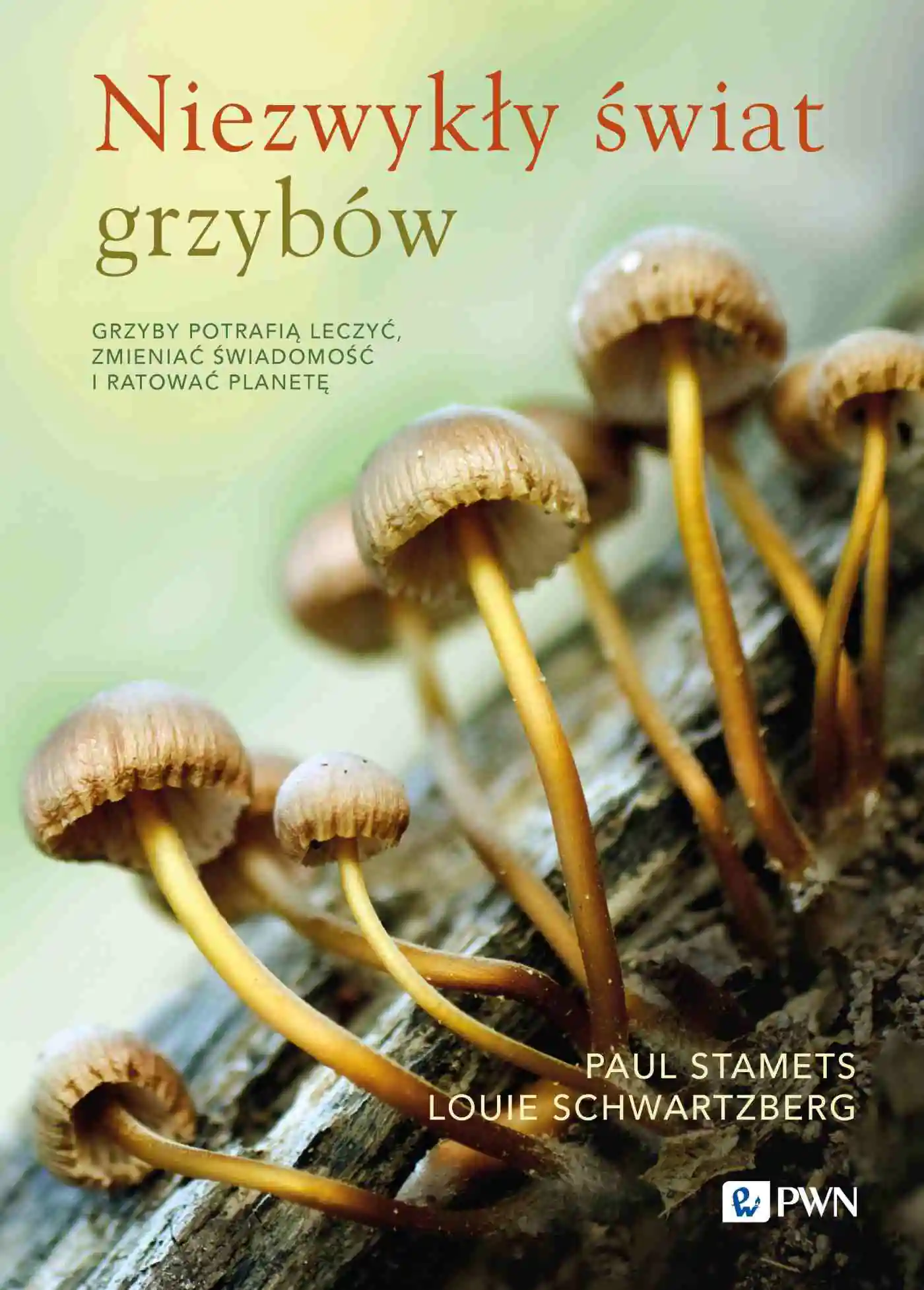 Książka - Niezwykły świat grzybów