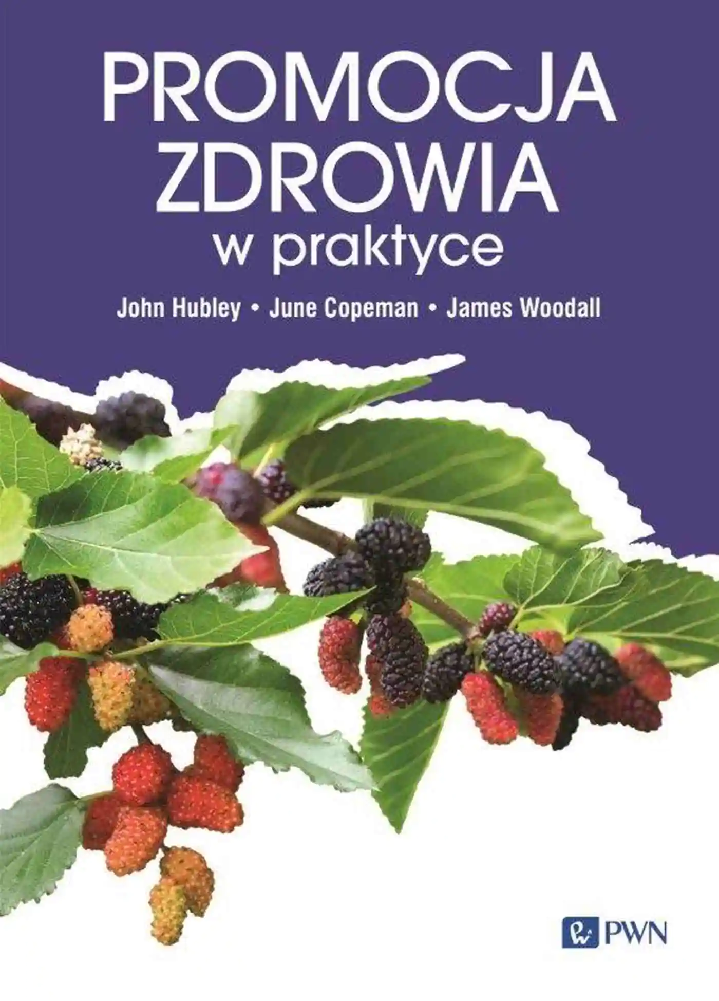 Książka - Promocja zdrowia w praktyce
