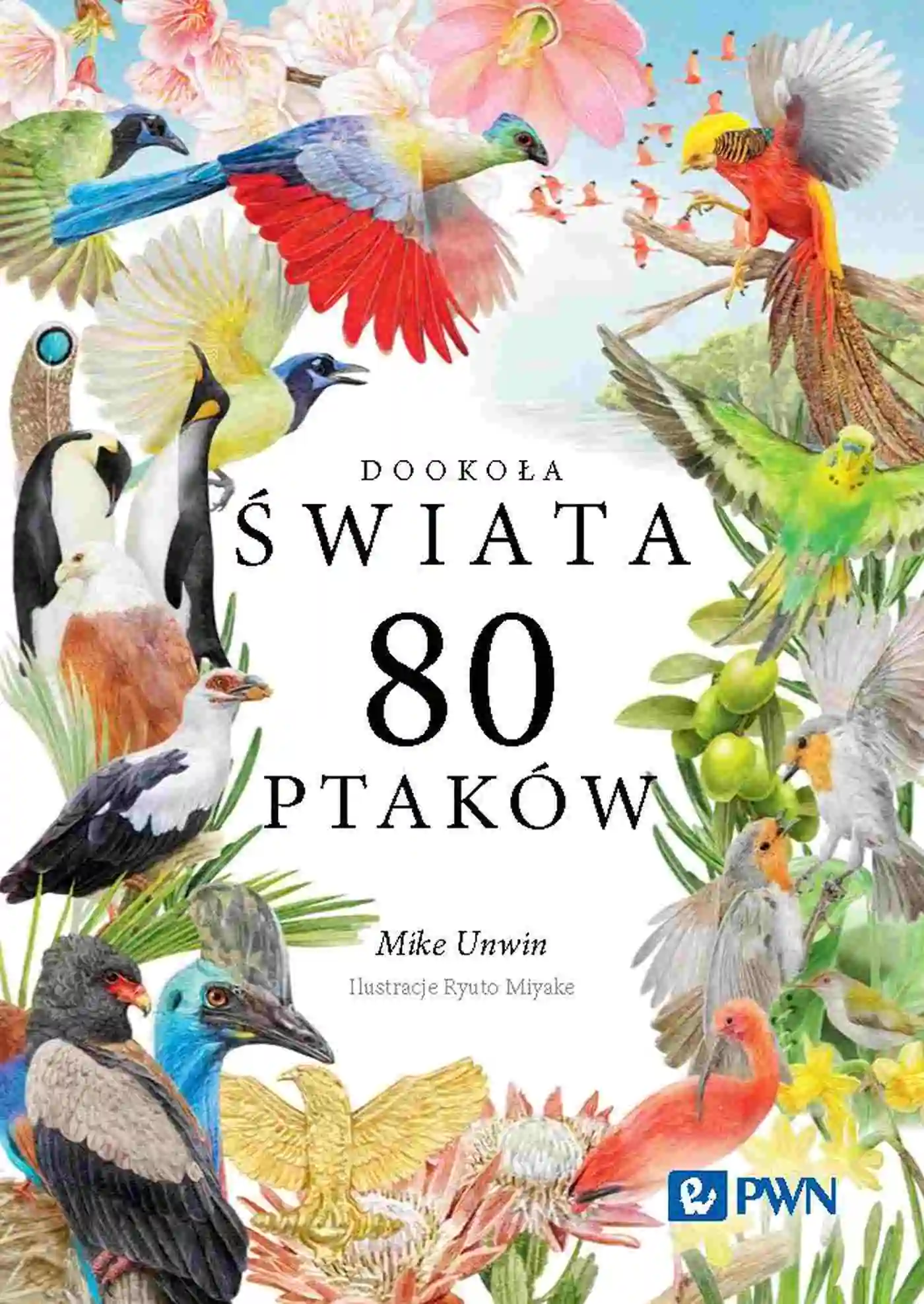 Książka - Dookoła świata. 80 ptaków