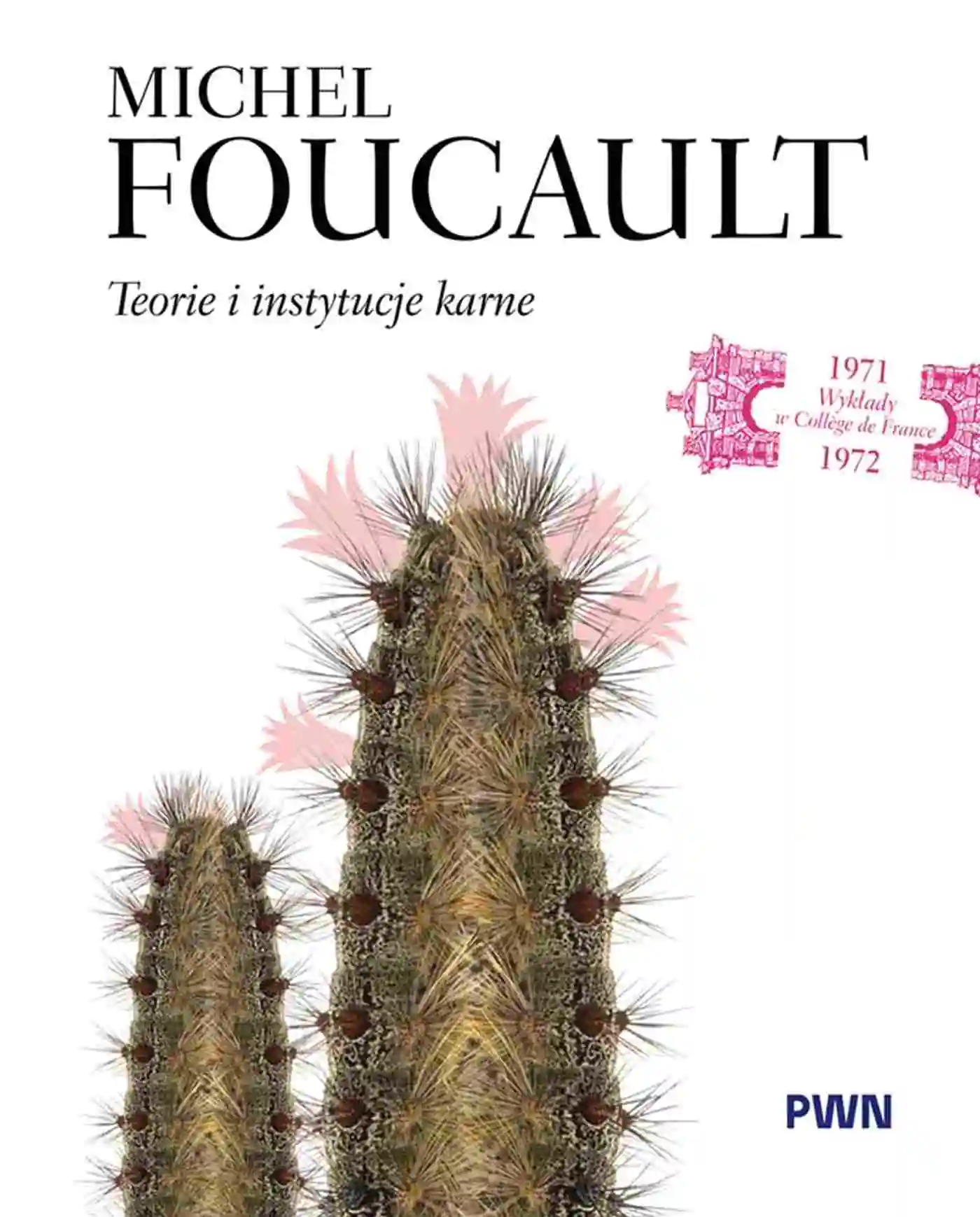 Książka - Teorie i instytucje karne