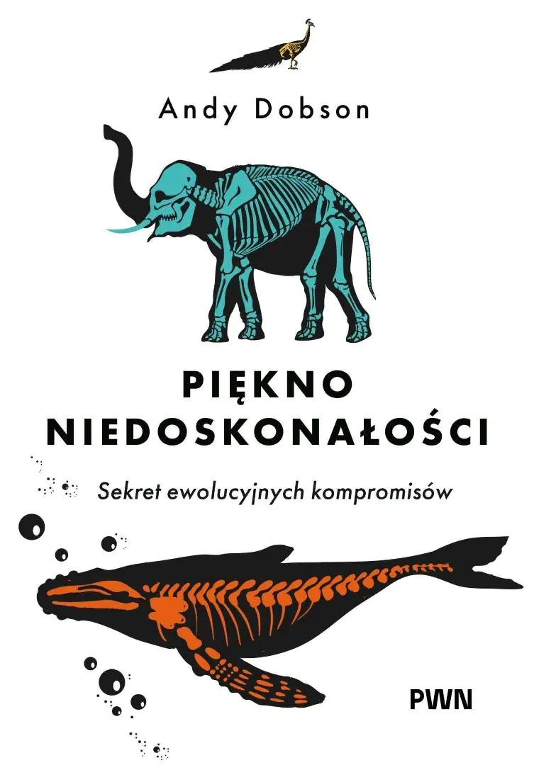 Książka - Piękno niedoskonałości