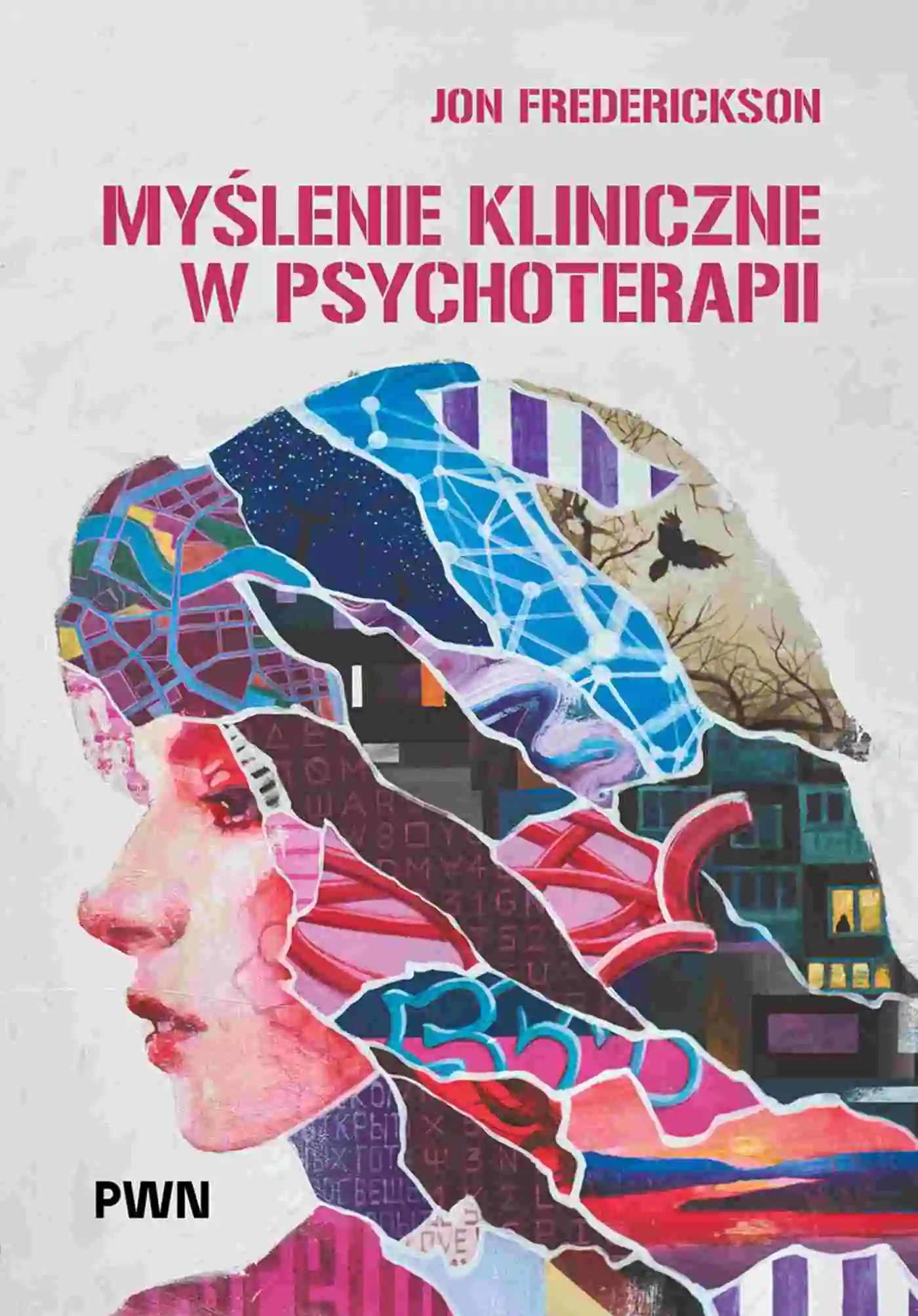 Książka - Myślenie kliniczne w psychoterapii. Czym jest, czemu służy oraz dlaczego i jak go nauczamy