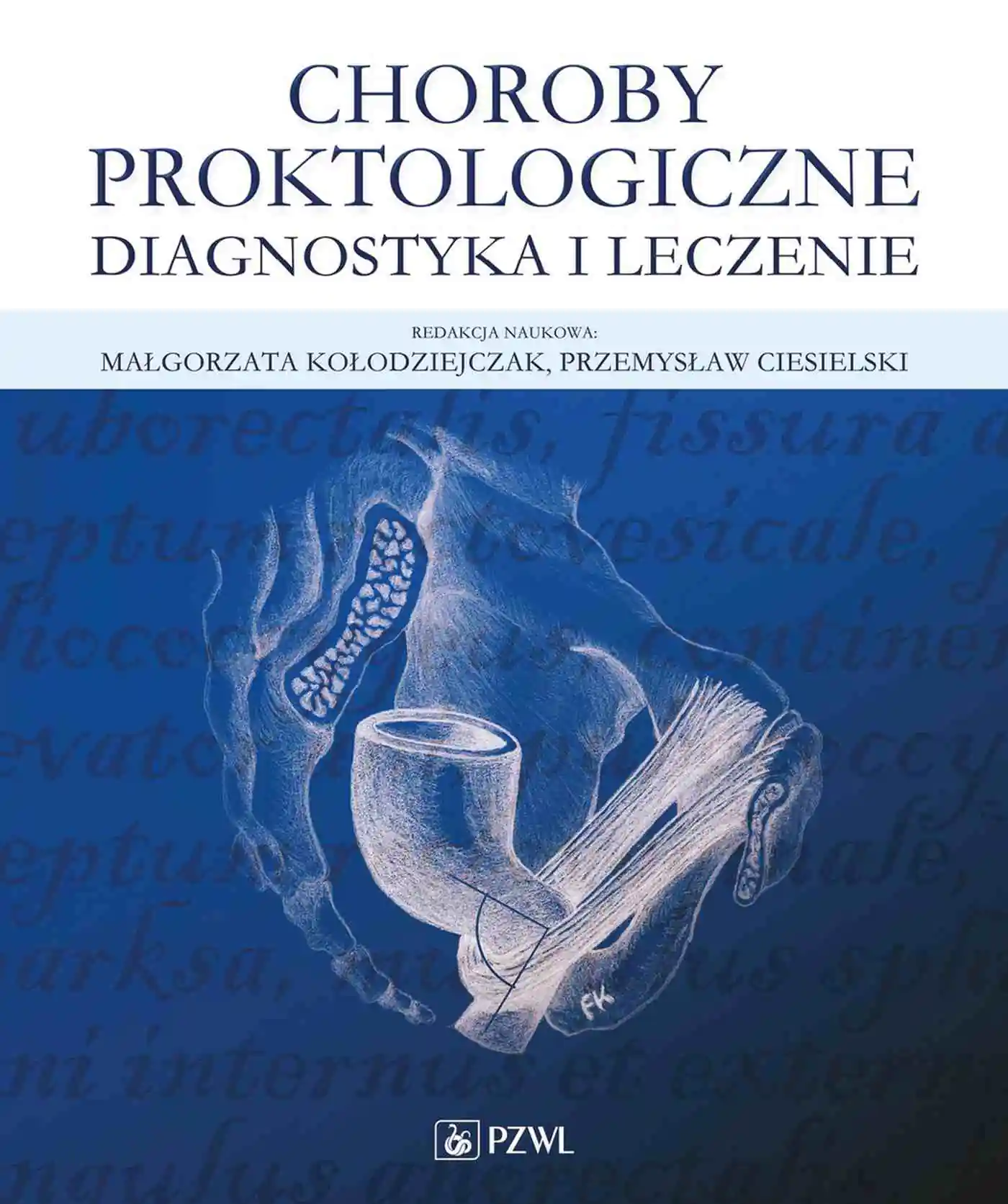 Książka - Choroby proktologiczne. Diagnostyka i leczenie