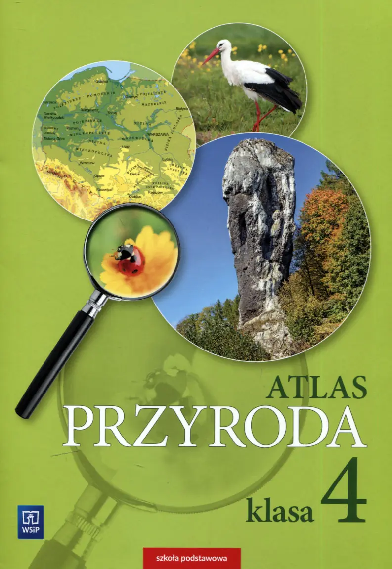 Książka - Atlas. Przyroda. Klasa 4. Szkoła podstawowa
