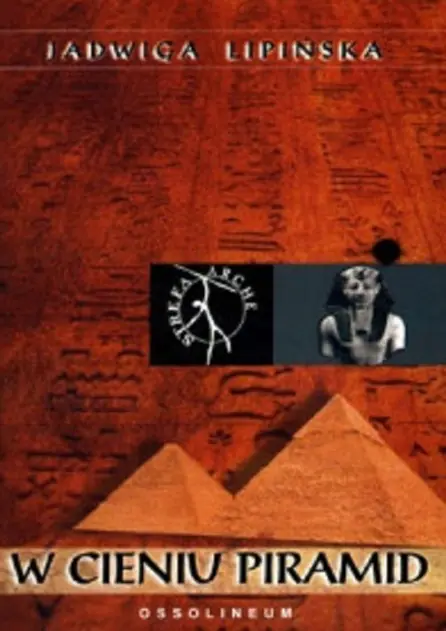 Książka - W cieniu piramid