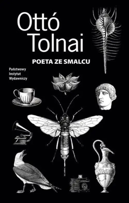 Książka - Poeta ze smalcu