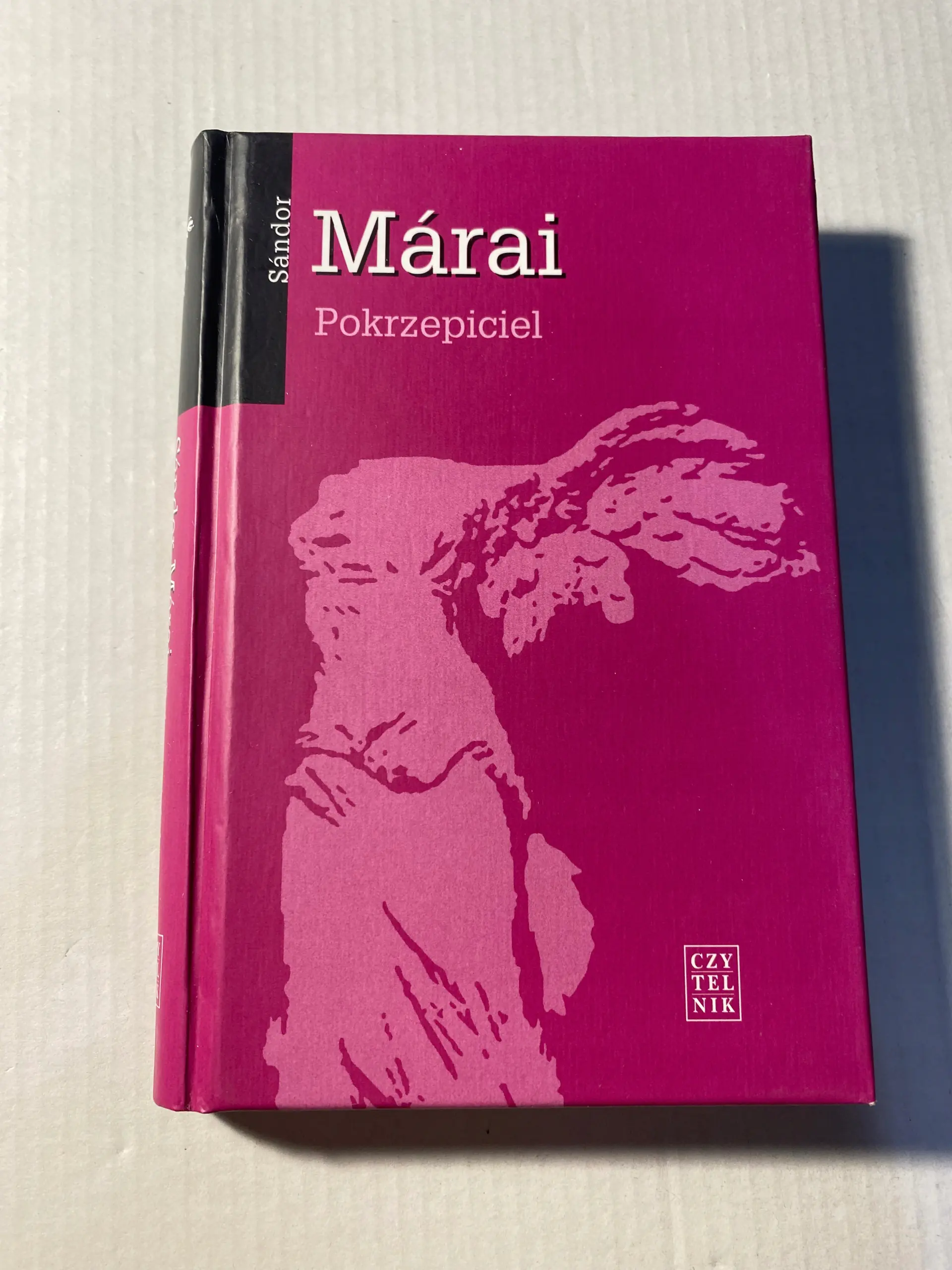 Książka - Pokrzepiciel