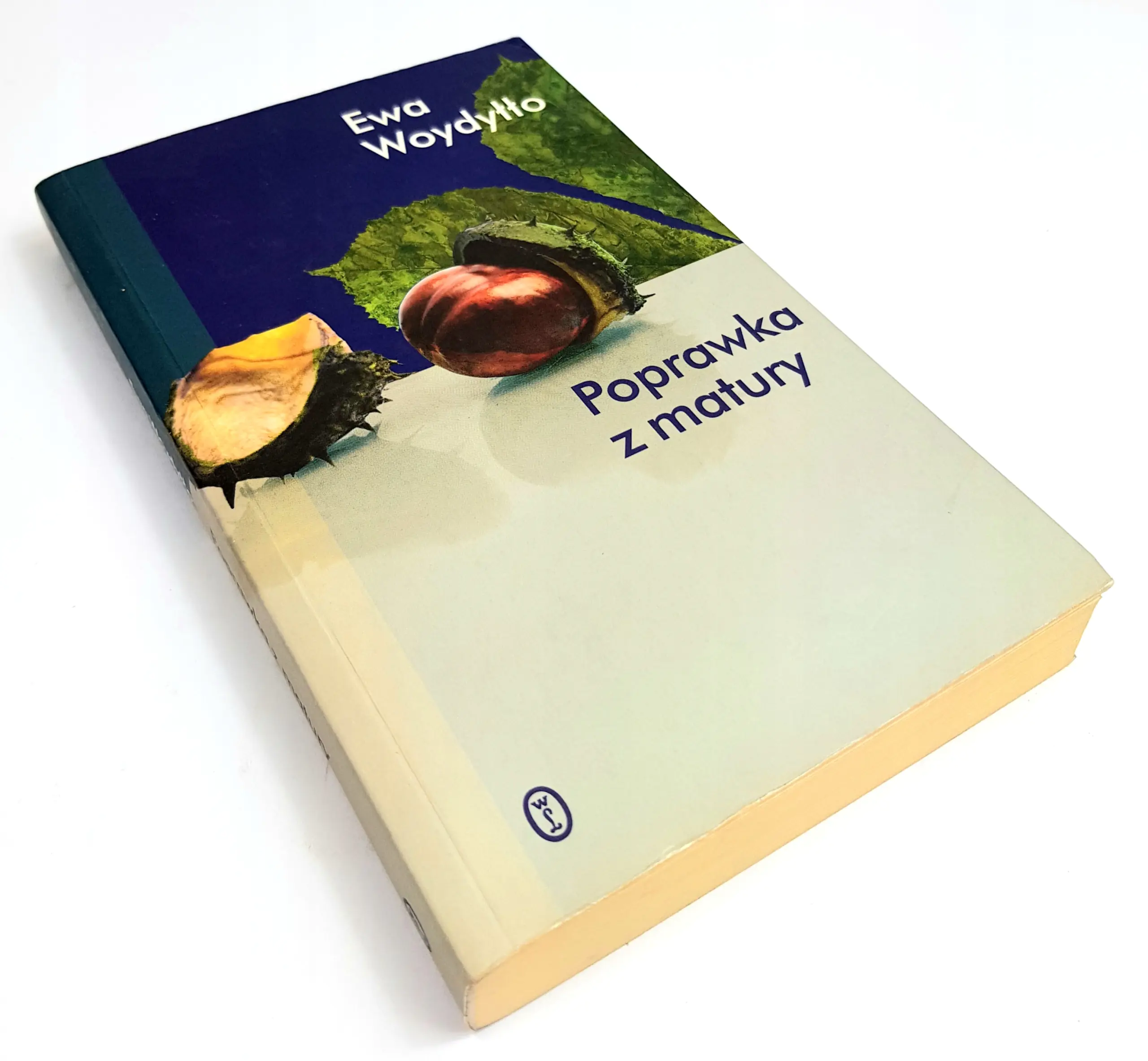 Książka - Poprawka z matury