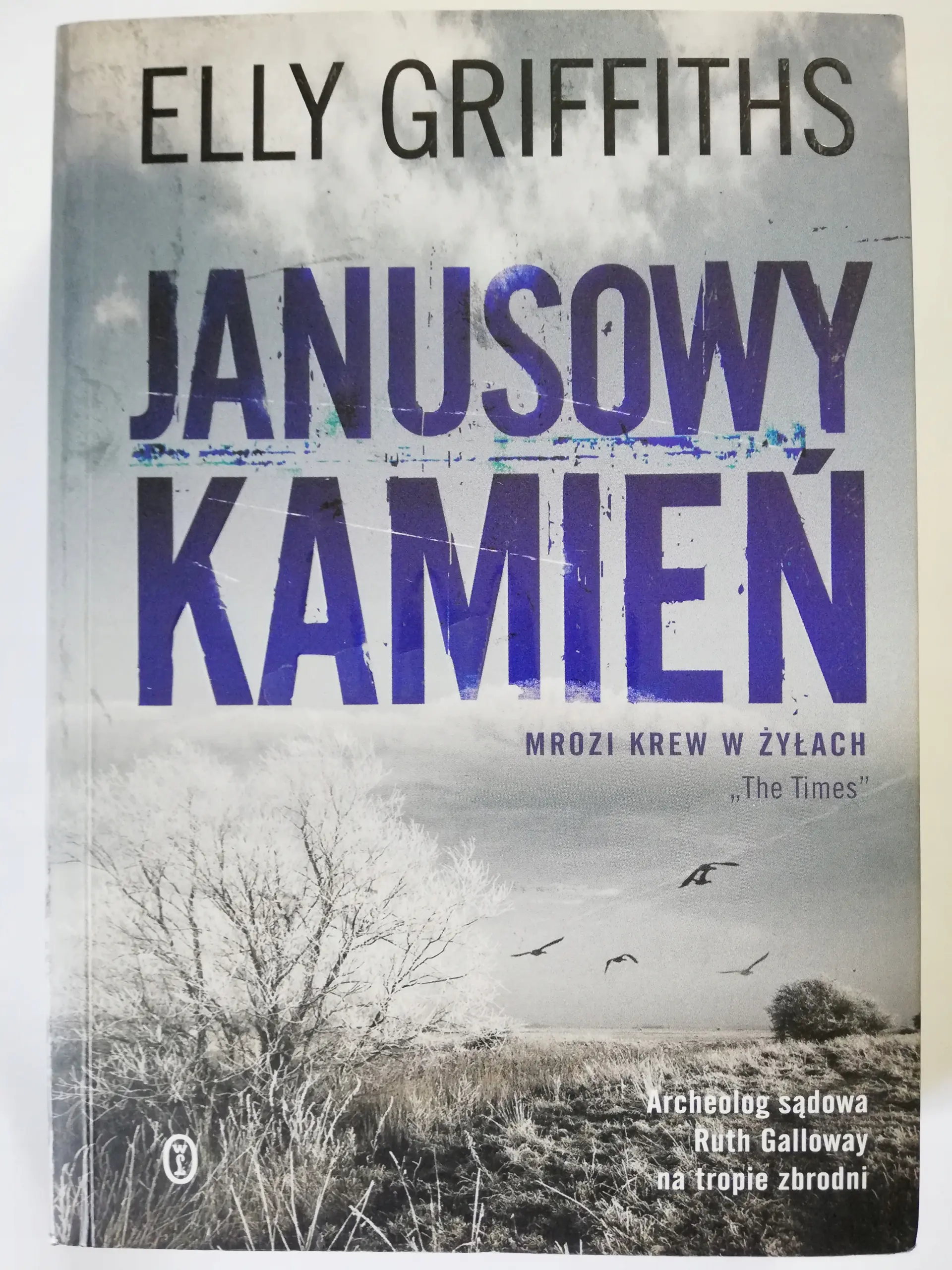 Książka - Janusowy kamień