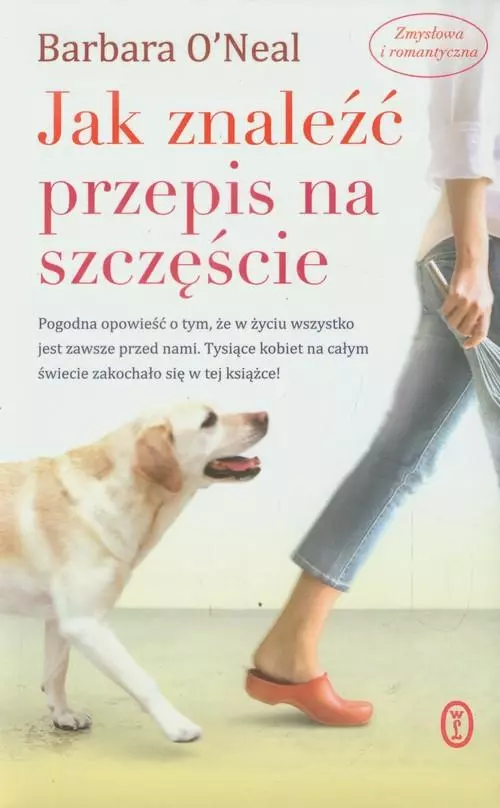 Książka - Jak znaleźć przepis na szczęście