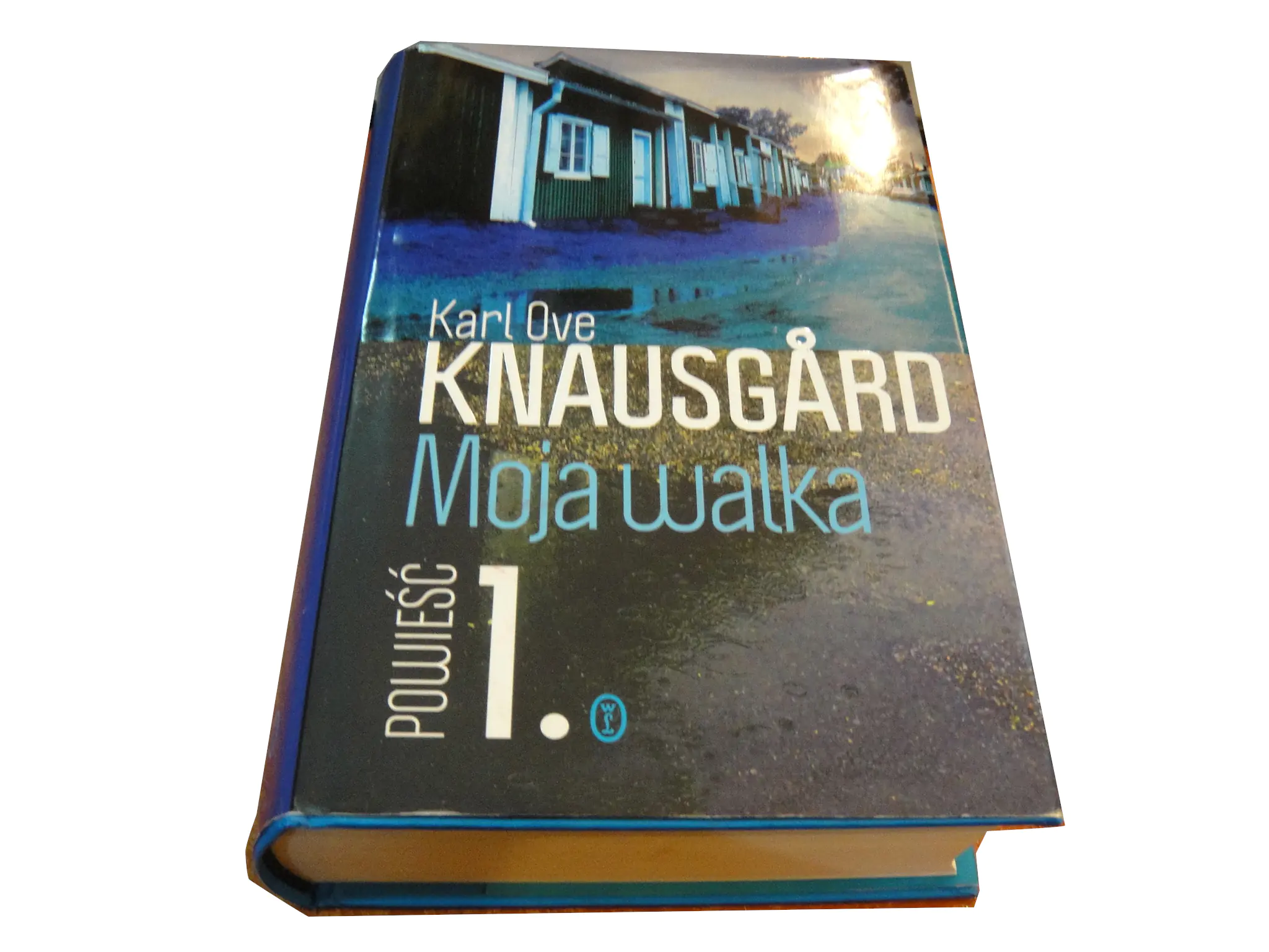 Książka - Moja walka. Księga 1 (OT)