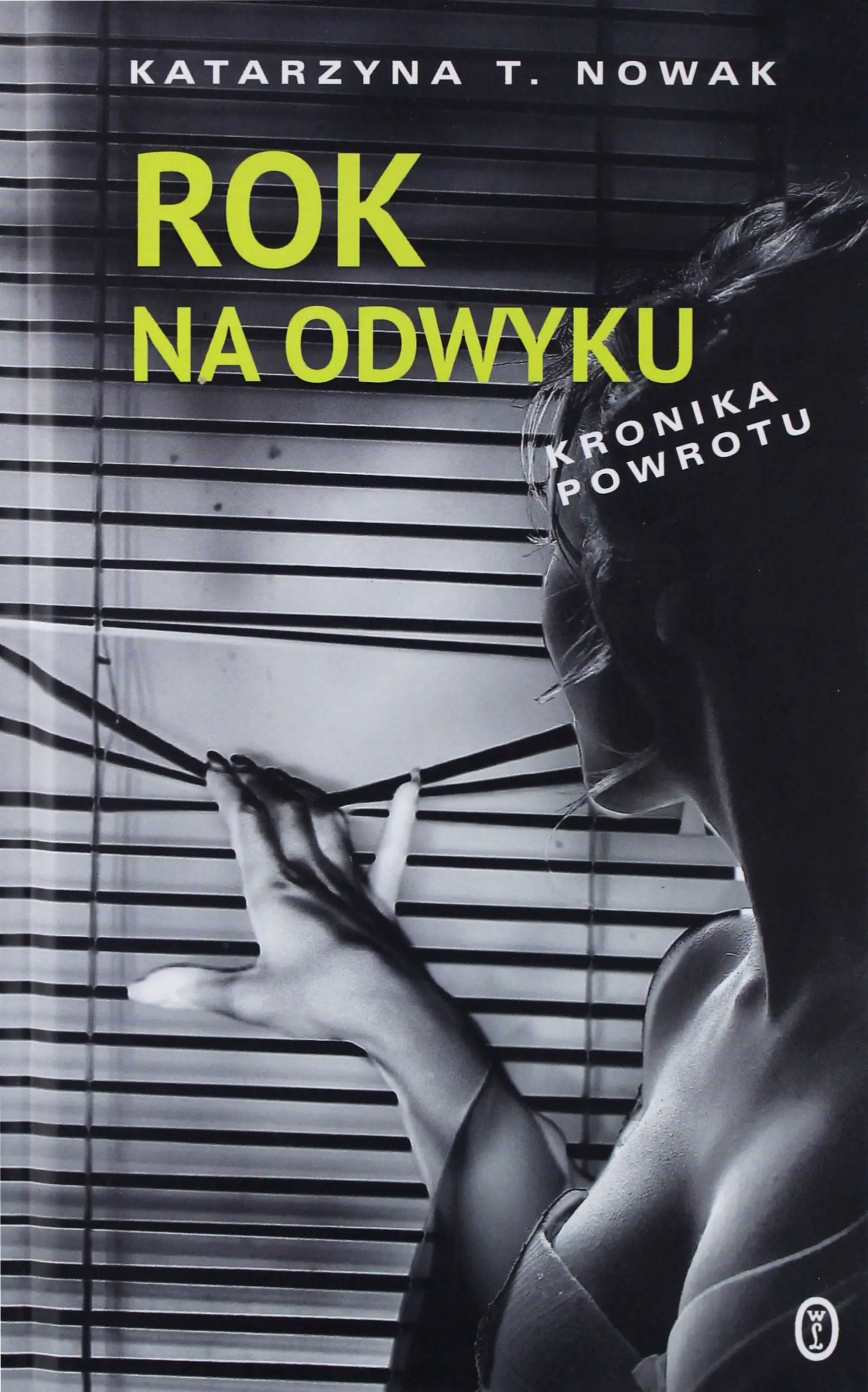 Książka - Rok na odwyku