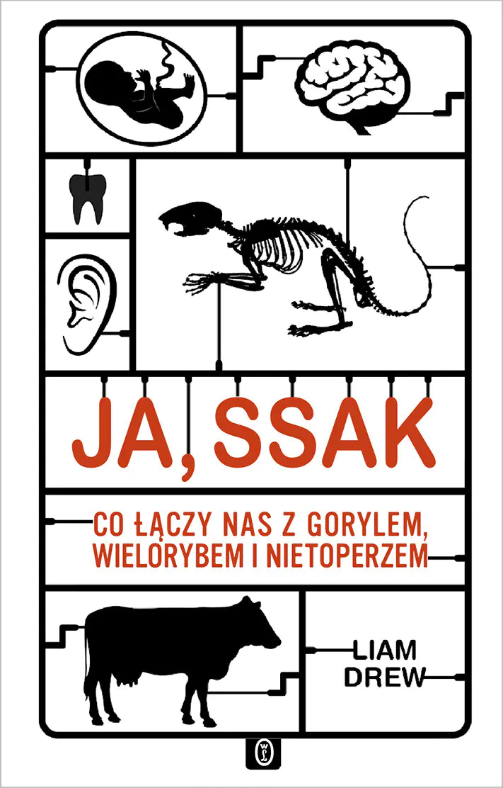 Książka - Ja, ssak. Co łączy nas z gorylem, wielorybem i nietoperzem