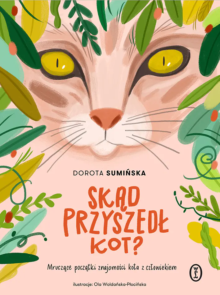 Książka - Skąd przyszedł kot?