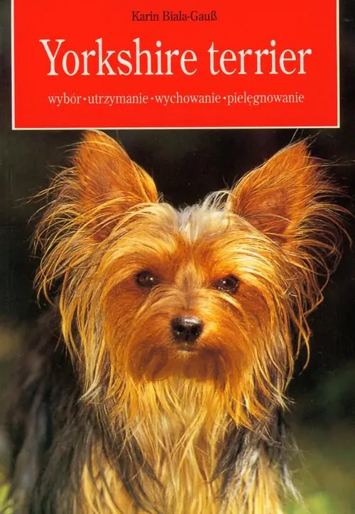 Książka - Yorkshire terrier
