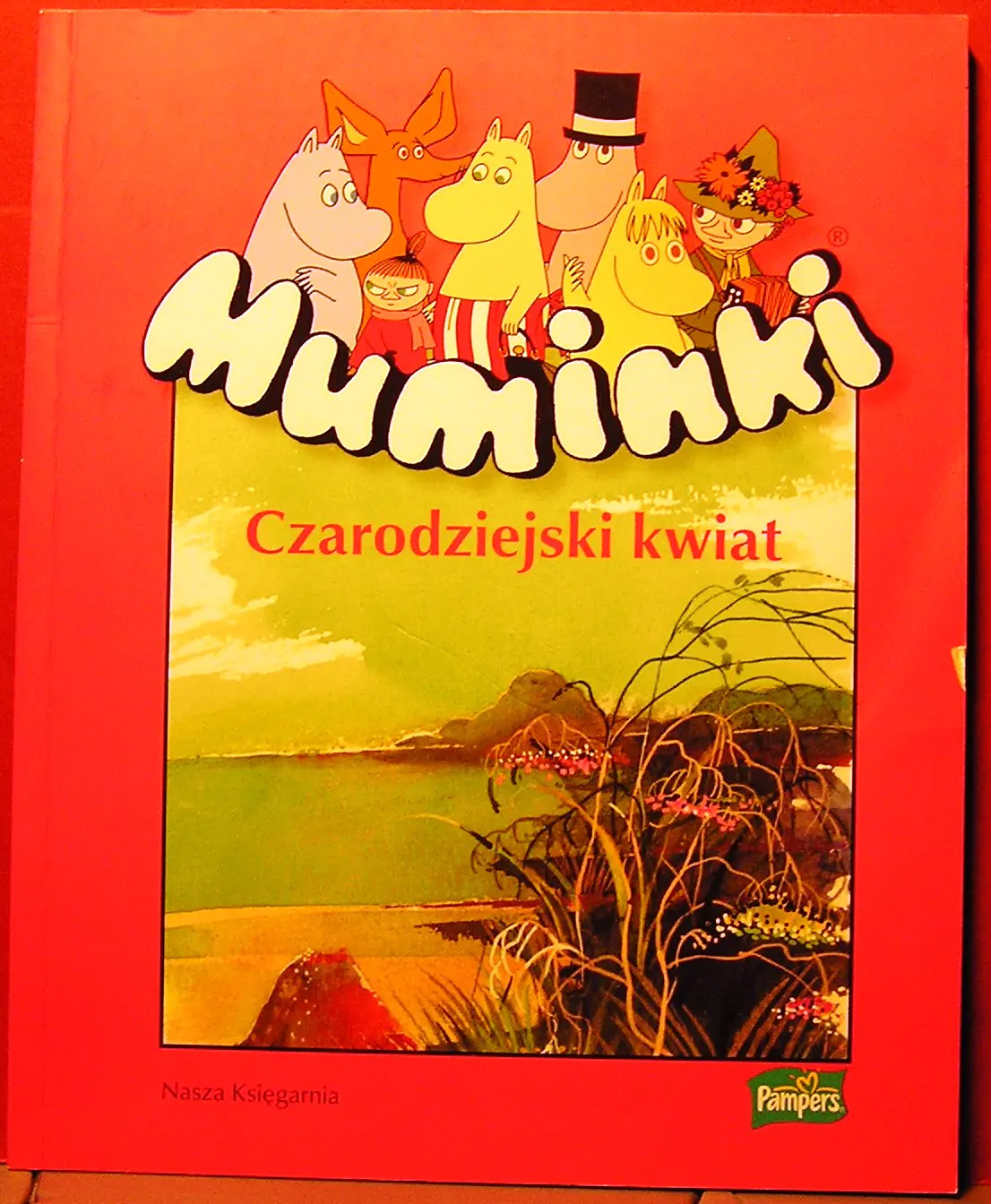 Książka - Czarodziejski kwiat