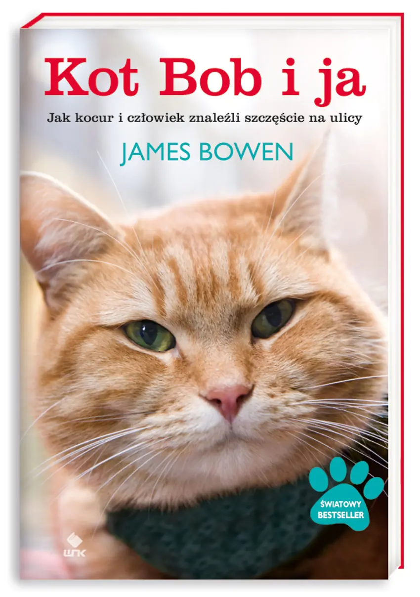 Książka - Kot Bob i ja. Jak kocur i człowiek znaleźli szczęście na ulicy