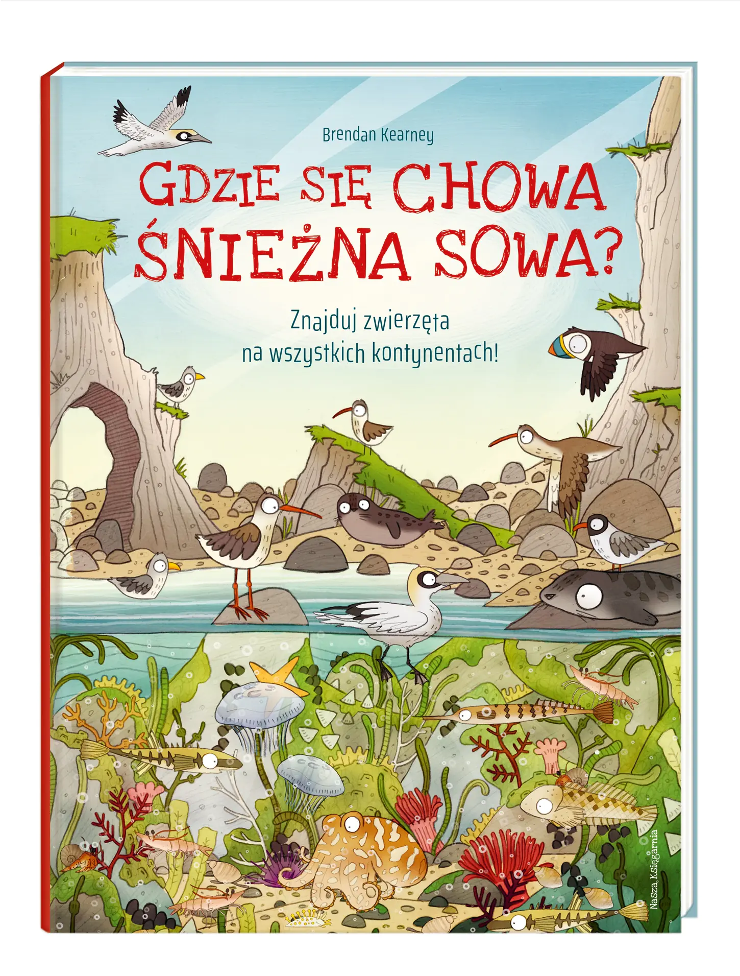 Książka - Gdzie się chowa śnieżna sowa? Znajduj zwierzęta na wszystkich kontynentach!