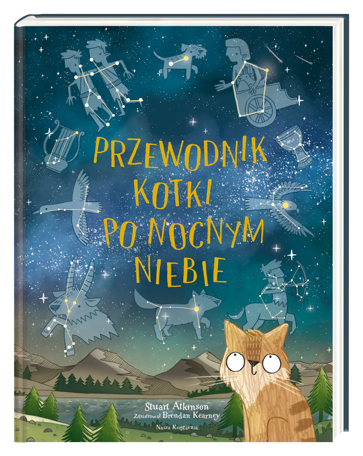 Książka - Przewodnik kotki po nocnym niebie