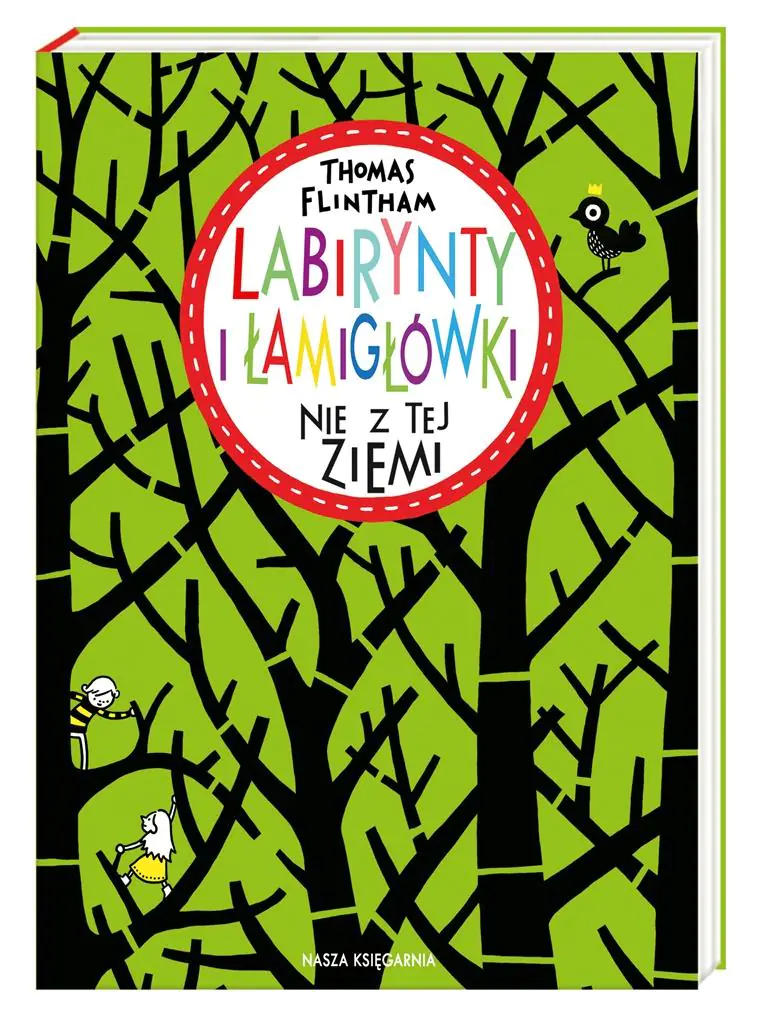 Książka - Labirynty i łamigłówki nie z tej ziemi