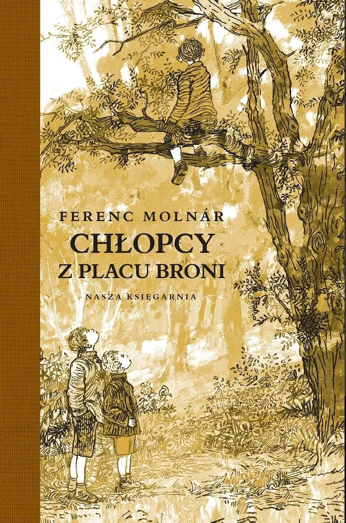 Książka - Chłopcy z Placu Broni
