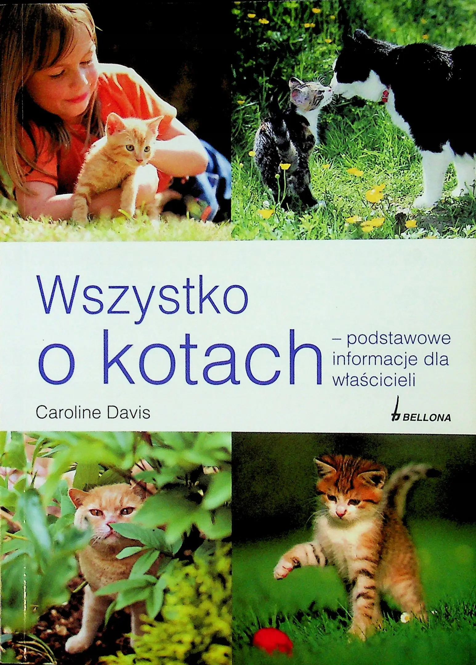 Książka - Wszystko o kotach