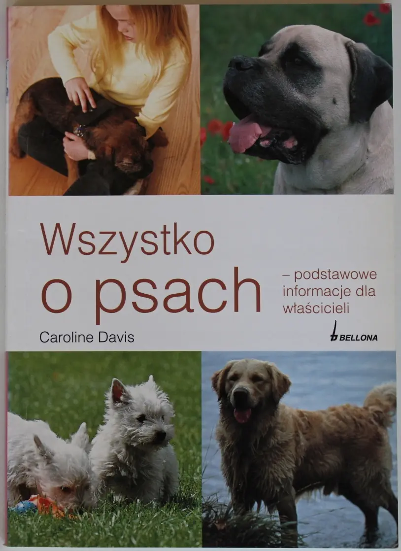 Książka - Wszystko o psach