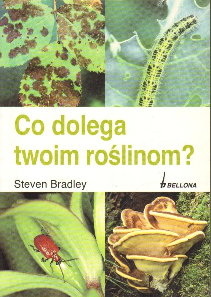 Książka - Co dolega twoim roślinom?