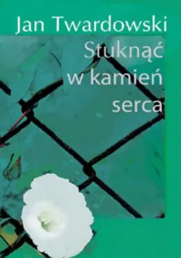 Książka - Stuknąć w kamień serca