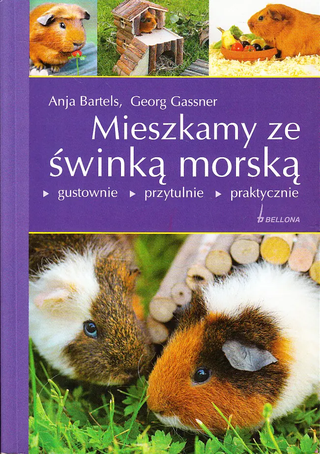 Książka - Mieszkamy ze świnką morską