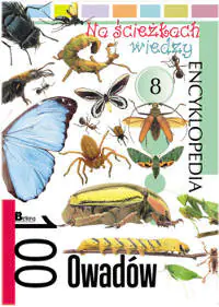 Książka - Na ścieżkach wiedzy 8 100 owadów Encyklopedia