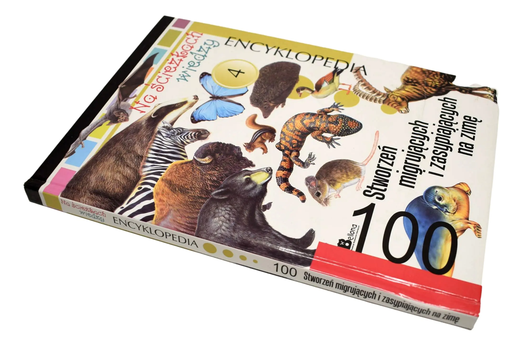 Książka - 100 stworzeń migrujących i zasypiających na zimę. Encyklopedia 6