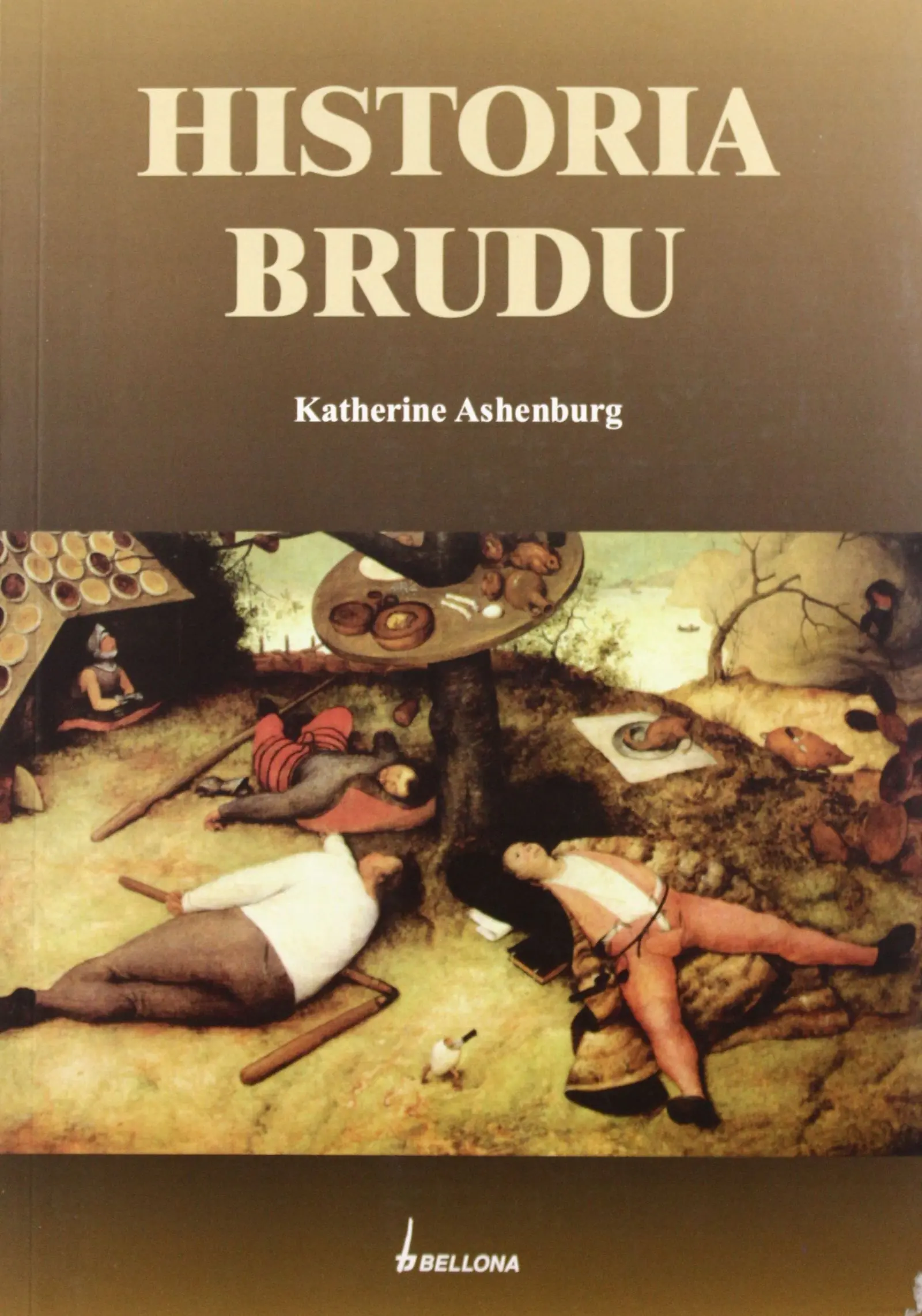 Książka - Historia brudu
