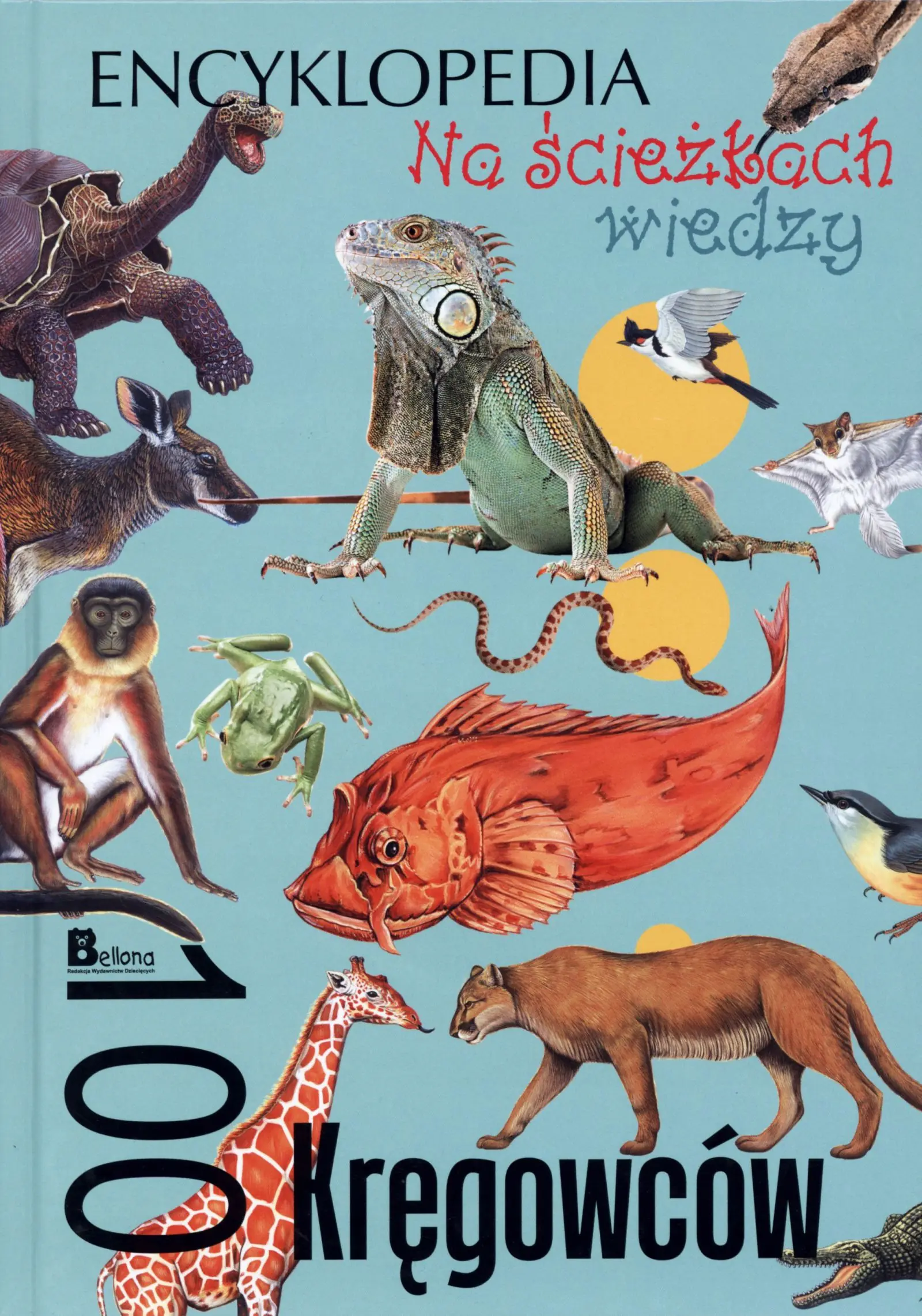 Książka - Na ścieżkach wiedzy. 100 kręgowców - Praca zbiorowa - 