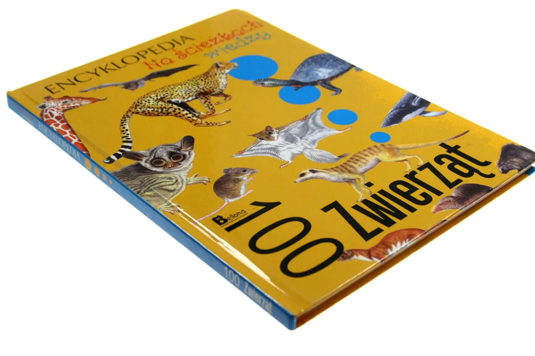 Książka - Encyklopedia Na ścieżkach wiedzy. 100 zwierząt