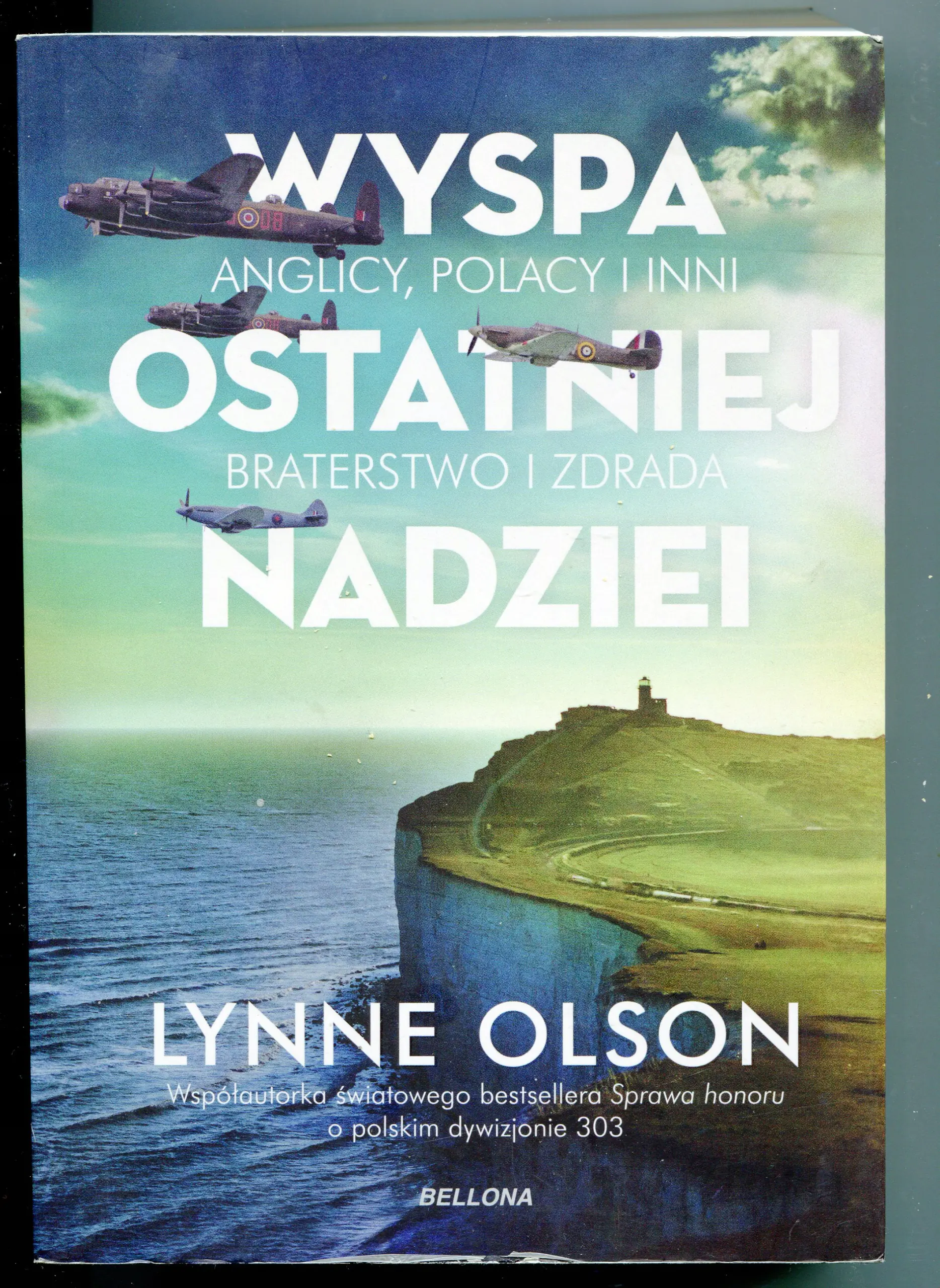 Książka - Wyspa ostatniej nadziei