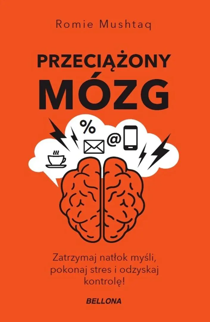 Książka - Przeciążony mózg