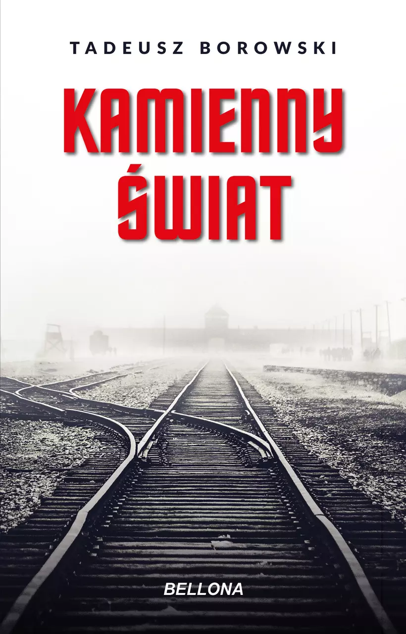 Książka - Kamienny świat
