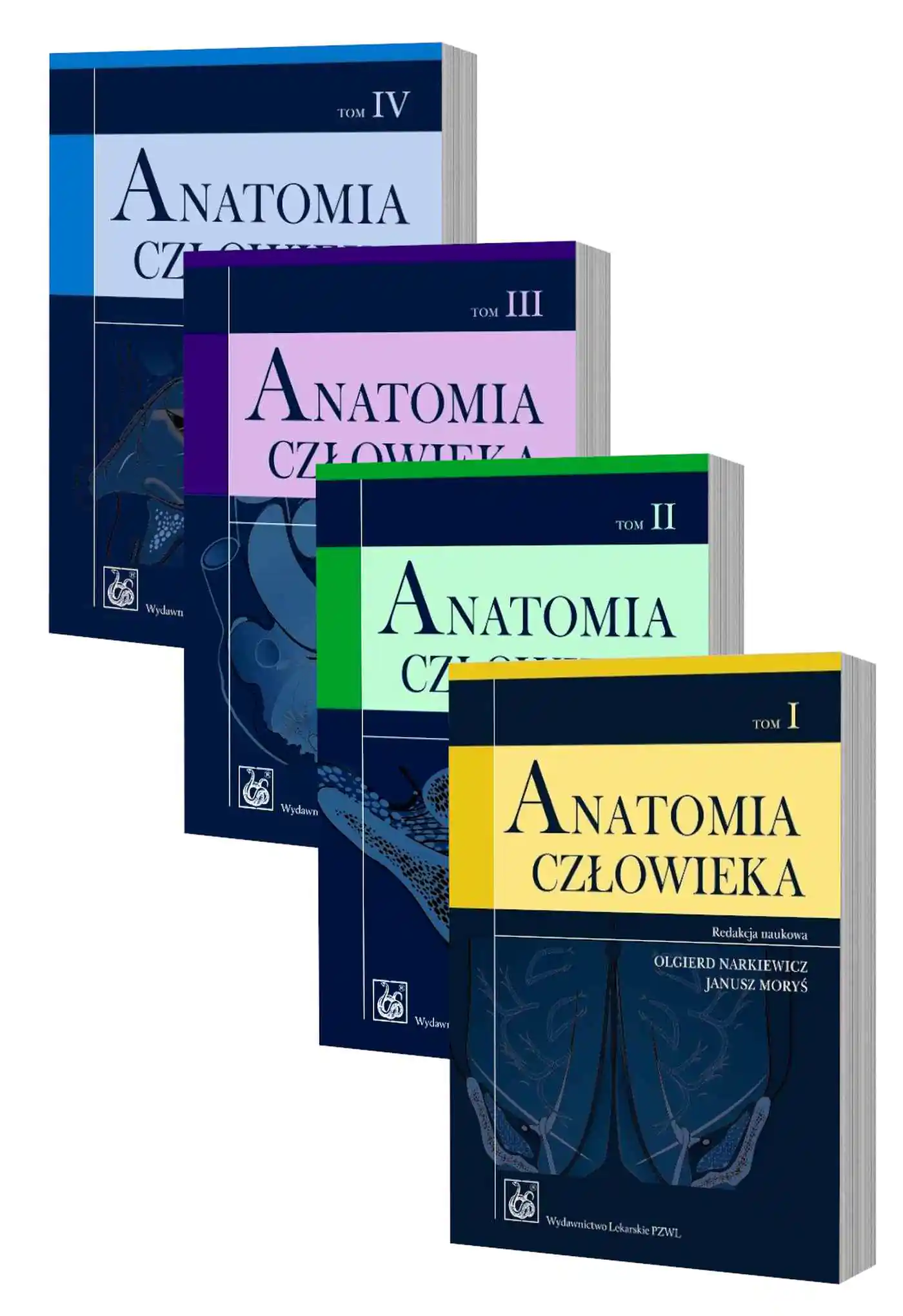 Książka - Anatomia człowieka t. 1-4