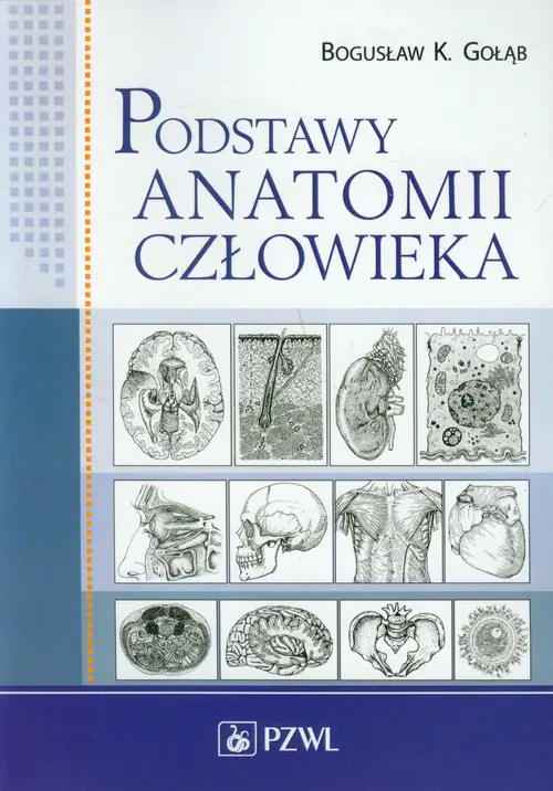 Książka - Podstawy anatomii człowieka