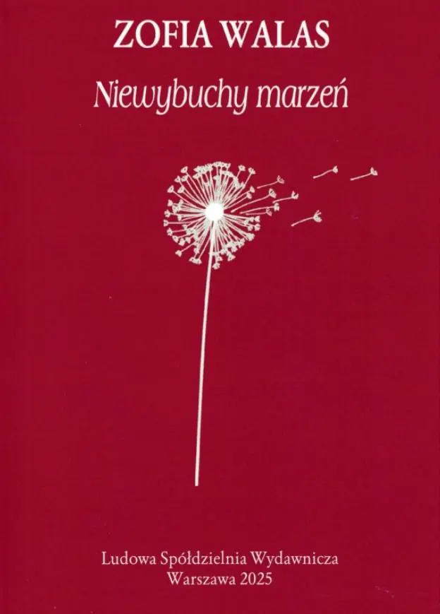 Książka - Niewybuchy marzeń