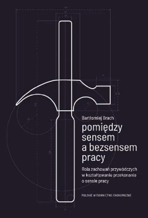 Książka - Pomiędzy sensem a bezsensem pracy
